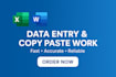 do expert data entry copy past