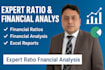 create python based financial reporting and analysis models