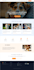 do expert figma ui ux design, and responsive website mockups