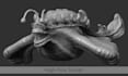 create next level 3d creature designs with full detailing