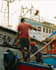 color grade your photos into viral content