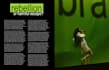 create eyecatching magazine and brochure designs