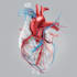 draw your medical illustration