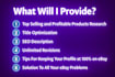 do ebay dropshipping on profit share