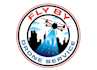 design wonderful drone logo