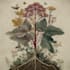 make a botanical illustration