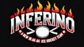 create wonderful and excellent hockey logo design
