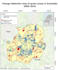 create a professional map from satellite or drone data