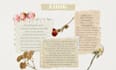 write or outline a short romance story