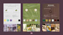 design your brand identity