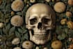 do botanical and anatomical scientific illustrations