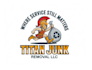 create a high quality titan junk removal logo design
