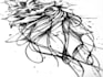 draw your cutom tattoo design, sketch, linework