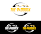 make an modern high quality racing logo design
