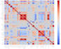 build up computer vision and sequence model related models