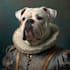 create a unique disney pet portrait