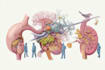 do medical and scientific illustrations