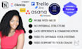 provide project management and operations support