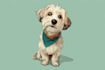 design custom disney pet portrait