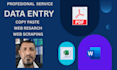 do accurate data entry,copy paste, web research and data mining job