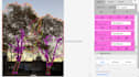 annotate images using bounding boxes, polygons, segmentation
