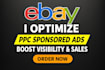 optimize ebay PPC campaigns, setup sponsored ads, and manage outside display ads