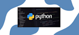 write python code and build programming projects