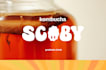 design kombucha microbrewery logo
