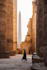 be your tour planner, experience organizer