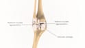 do 3d medical procedural animation and modeling