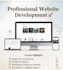 do professional website development and web marketing