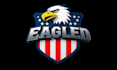 design attractive eagle logo with satisfaction guaranteed