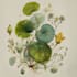 draw best botanical illustration