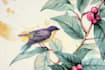 draw high quality animal, insect, and botanical art