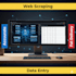 do data entry, error free results, and custom solutions