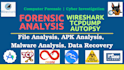 do digital forensics, malware analysis, cyber investigation