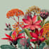 llustrate best botanical illustration