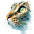 draw realistic watercolor animal pet