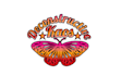 do modern amazing butterfly logo design