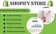 setup shopify ecommerce website development shopify dropshipping store bigbuy