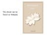 ghostwrite your ideas into original stories and novels