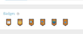 do reverse engineering and  binary analysis
