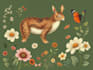 draw animal and botanical illustrations