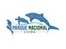 design beautiful custom shark logo