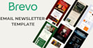 design mailerlite newsletter and brevo email template that converts