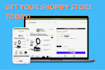 build a branded shopify dropshipping or ecommerce store