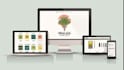develop cannabis marketplace website, cbd marijuana, hemp, weed website