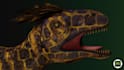 produce pbr texture in substance painter