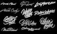 create a custom lettering logo for a professional individual