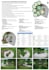 create a real horticulture grade planting plan for your climate